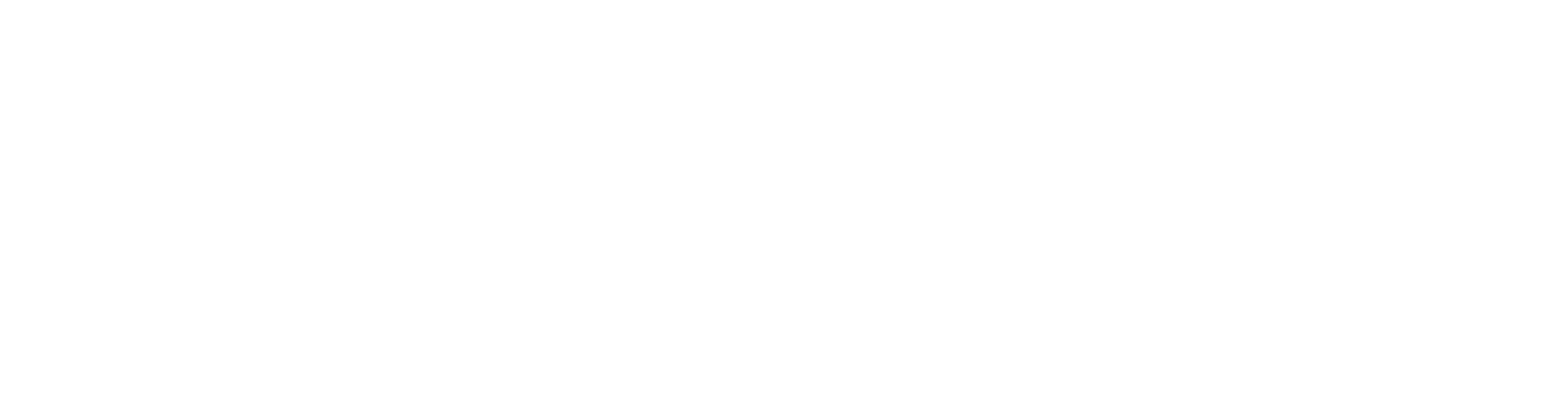 Sicurlive Group